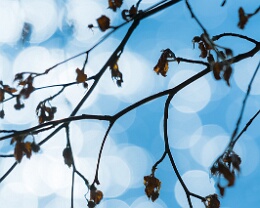 sea of lights Erhältlich in folgenden Ausführungen: Passepartout-Bilder: FineArt Prints auf Fotopapier 260g glossy, im Passepartout weiss. Plakate: FineArt Prints auf...