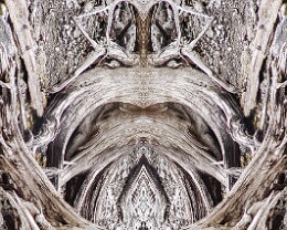 creatur II Erhältlich in folgenden Ausführungen: Passepartout-Bilder: FineArt Prints auf Fotopapier 260g glossy, im Passepartout weiss. Plakate: FineArt Prints auf...