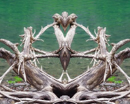 creatur III Erhältlich in folgenden Ausführungen: Passepartout-Bilder: FineArt Prints auf Fotopapier 260g glossy, im Passepartout weiss. Plakate: FineArt Prints auf...