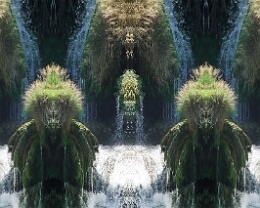 the guardians Erhältlich in folgenden Ausführungen: Passepartout-Bilder: FineArt Prints auf Fotopapier 260g glossy, im Passepartout weiss. Plakate: FineArt Prints auf...