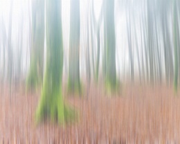 Fading Memories Erhältlich in folgenden Ausführungen: Passepartout-Bilder: FineArt Prints auf Fotopapier 260g glossy, im Passepartout weiss. Plakate: FineArt Prints auf...