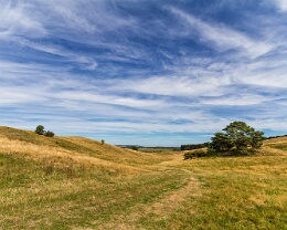 Zickersche Berge - Rügen Erhältlich in folgenden Ausführungen: Passepartout-Bilder: FineArt Prints auf Fotopapier 260g glossy, im Passepartout weiss. Plakate: FineArt Prints auf...