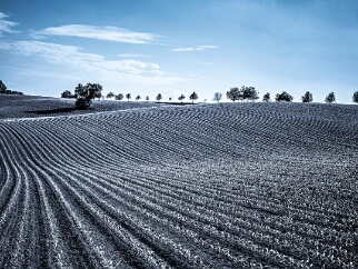 Landschaften Stimmungsvolle Landschaften