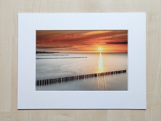 Ausführungen und Preise